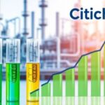 Citichem India IPO GMP, Review, Price, Allotment